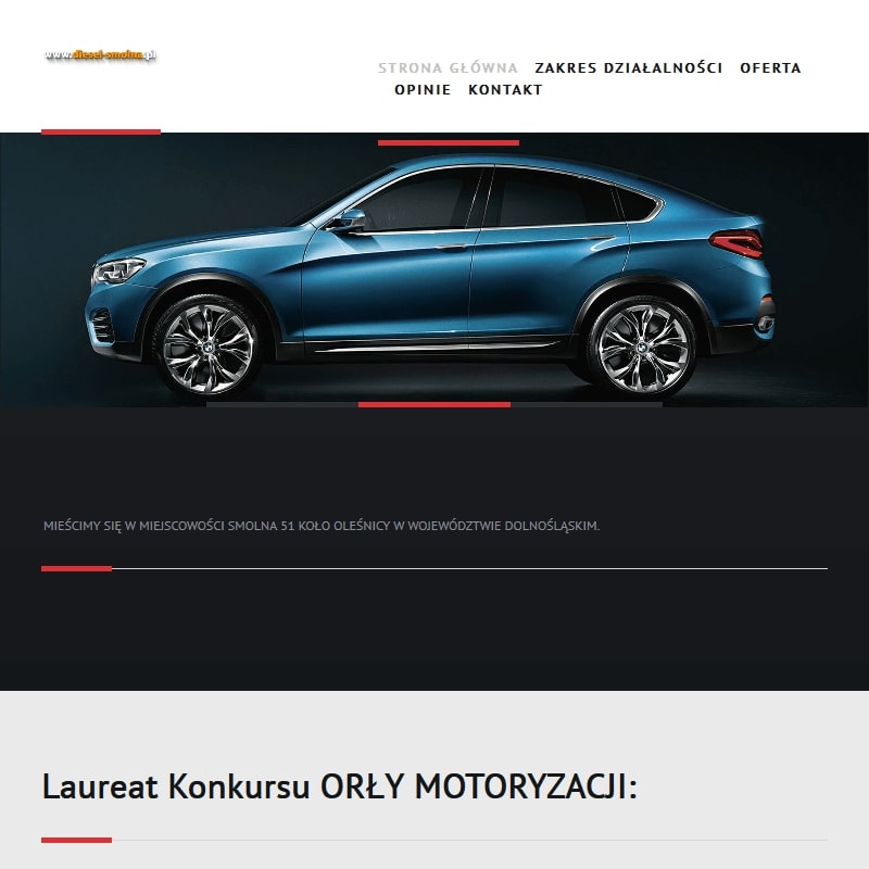 Mechanik samochodowy z Oleśnicy